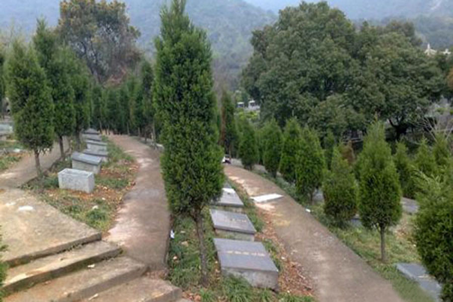 墓区环境图